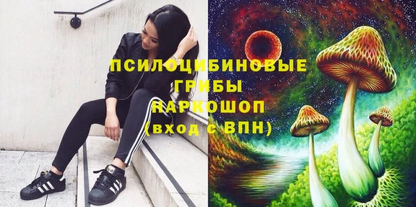 сатива Карпинск