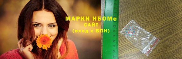 мдпв Касимов
