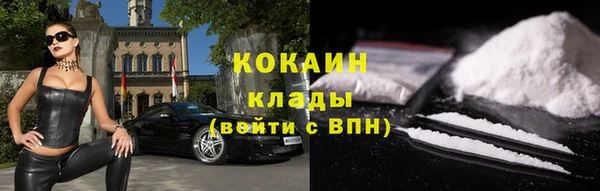 сатива Карпинск