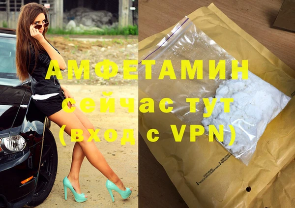 сатива Карпинск