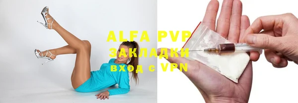 сатива Карпинск