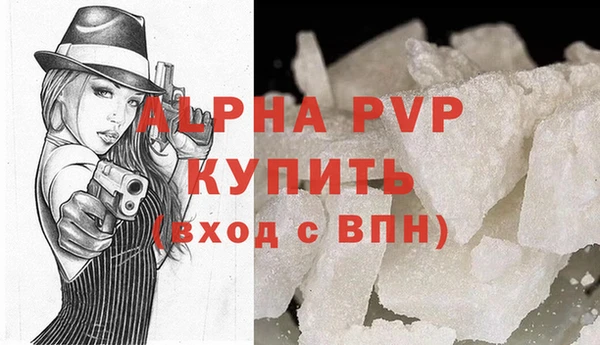сатива Карпинск