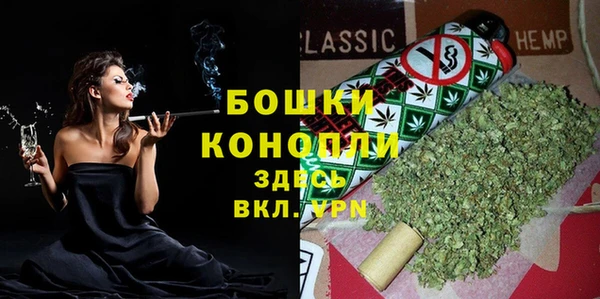 сатива Карпинск