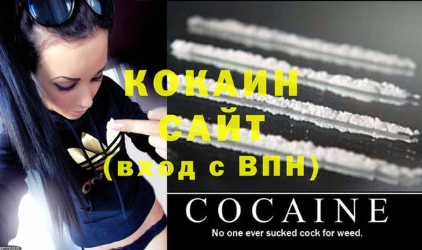 сатива Карпинск