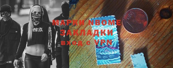 сатива Карпинск