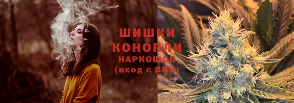 сатива Карпинск