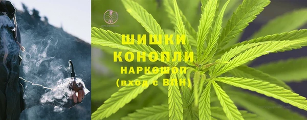 мдпв Касимов