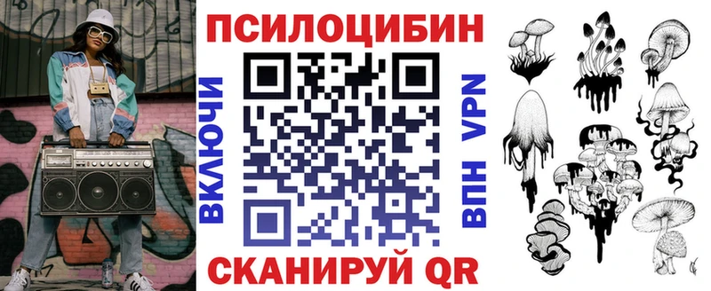 Купить закладки  Малмыж  Псилоцибиновые грибы Psilocybe 